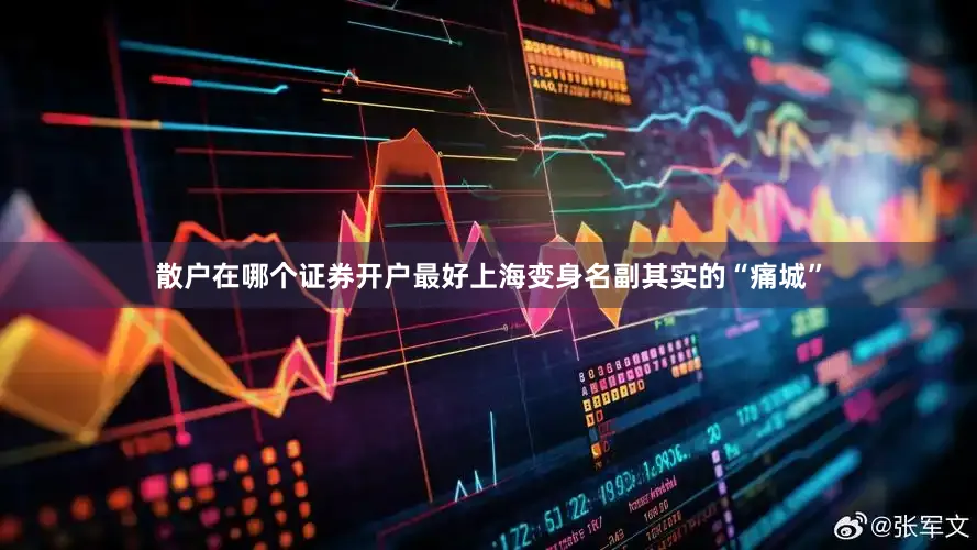 散户在哪个证券开户最好上海变身名副其实的“痛城”