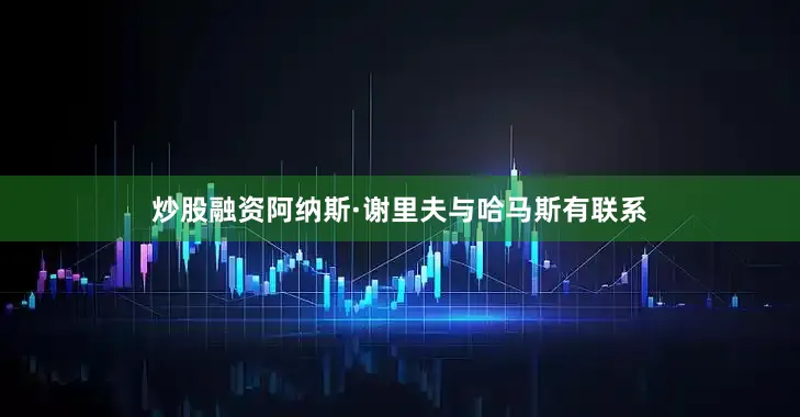 炒股融资阿纳斯·谢里夫与哈马斯有联系