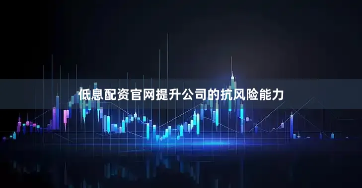低息配资官网提升公司的抗风险能力